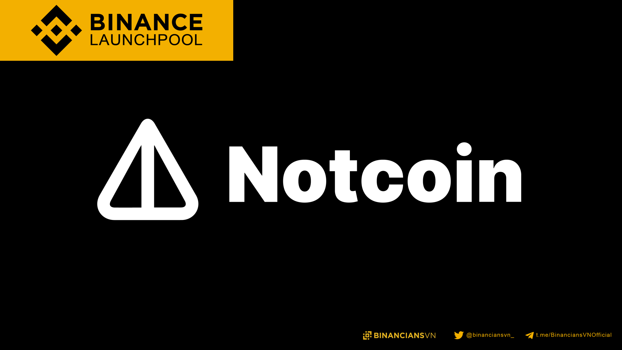 Binance Launchpool Notcoin Not Syndicator