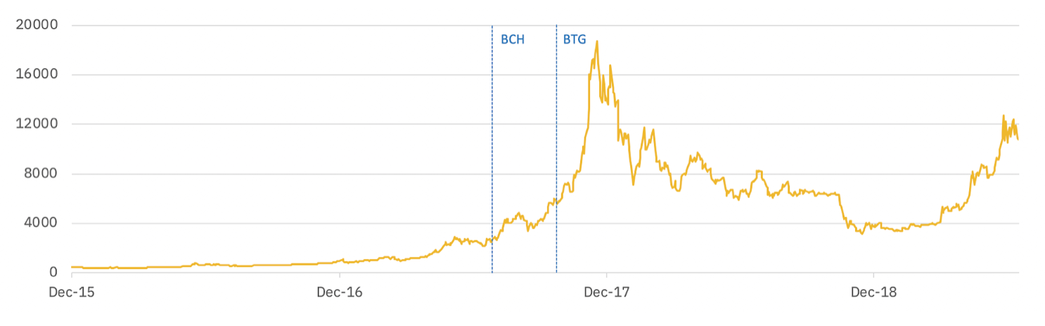Giá Bitcoin tính bằng USD (2016-2019) với hai nhánh chính