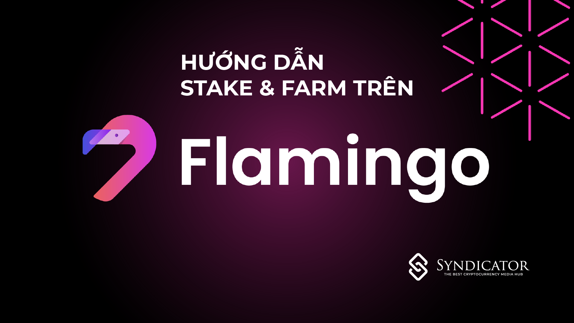 Hướng dẫn stake và farm trên Flamingo | Syndicator