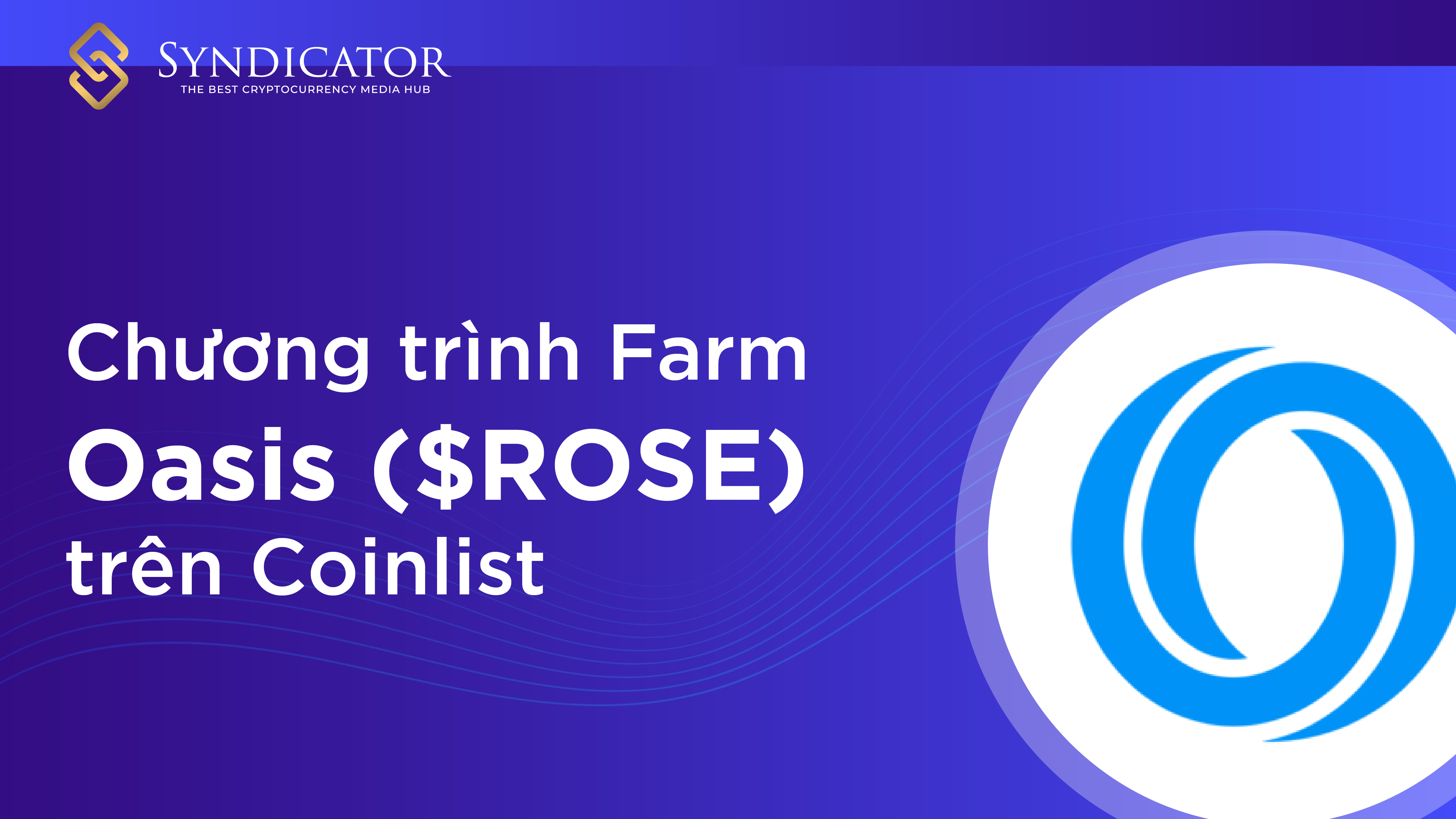 Chương trình Farm Oasis ($ROSE) trên Coinlist - Syndicator