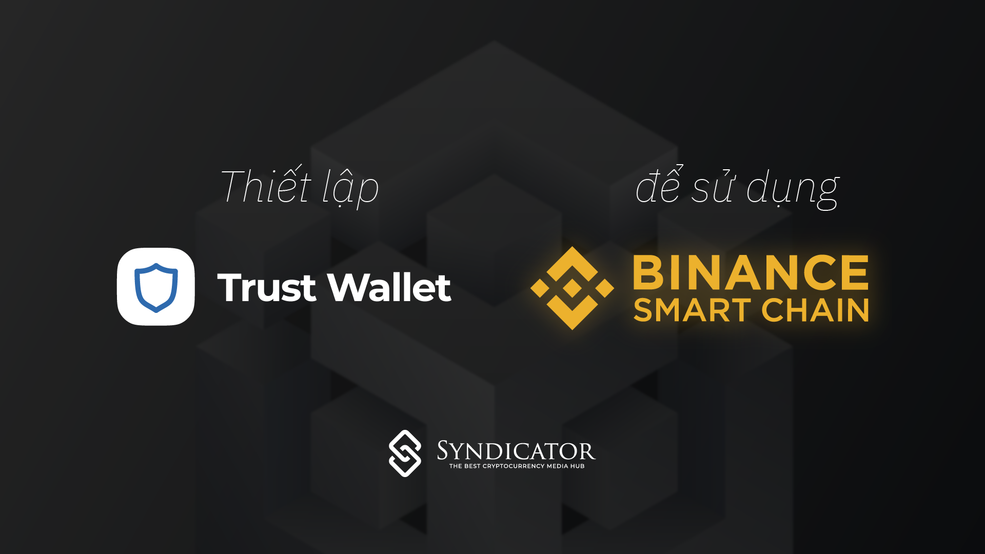 Hướng dẫn thiết lập và sử dụng Binance Smart Chain trên Trust Wallet - Syndicator