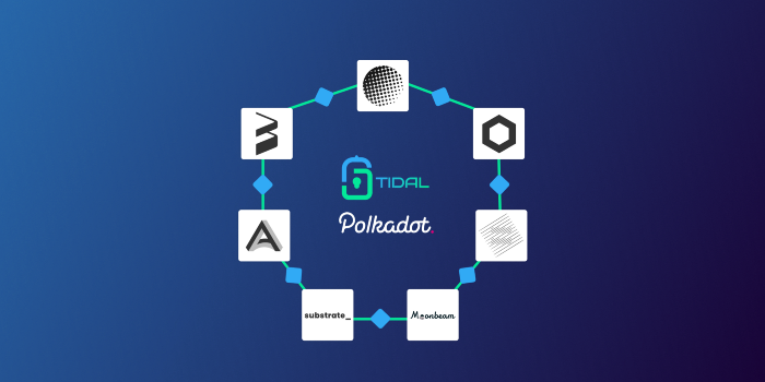 Tidal Finance: Đơn giản hóa bảo hiểm trên Defi - TIDAL token - syndicator - polkawarriors